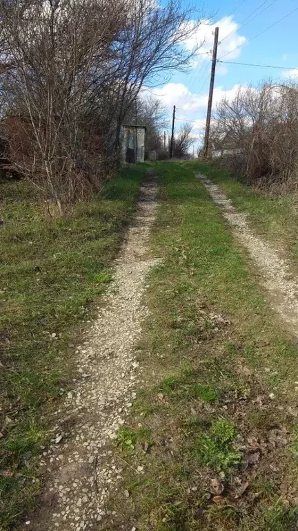 Участок в Белгородская область, Белгородский район, Комсомольское ... - Фото 2