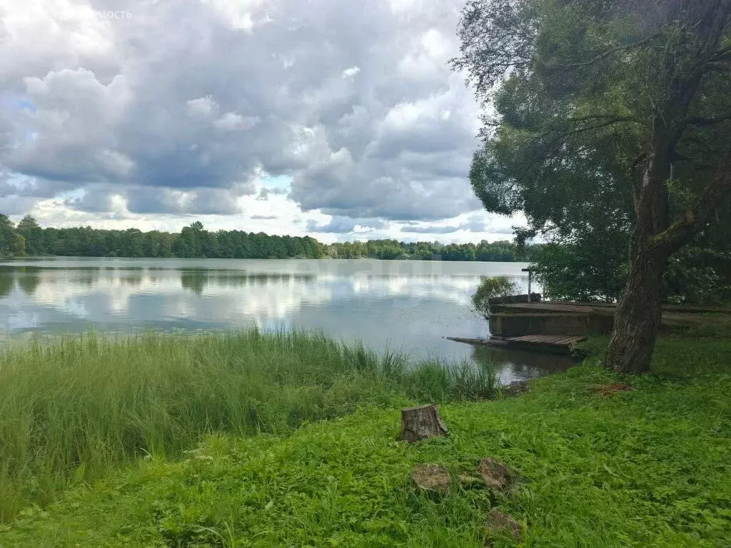 Участок в Киришский район, городской посёлок Будогощь (8.98 м) - Фото 1