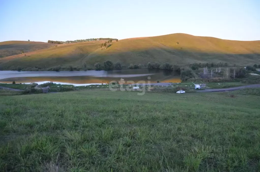 Участок в Алтайский край, Алтайский район, с. Верх-Ая Алтайская ул. ... - Фото 2