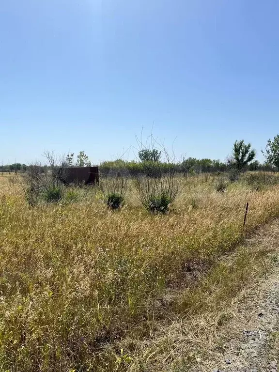 Участок 8 сот. (СНТ, ДНП) - Фото 0