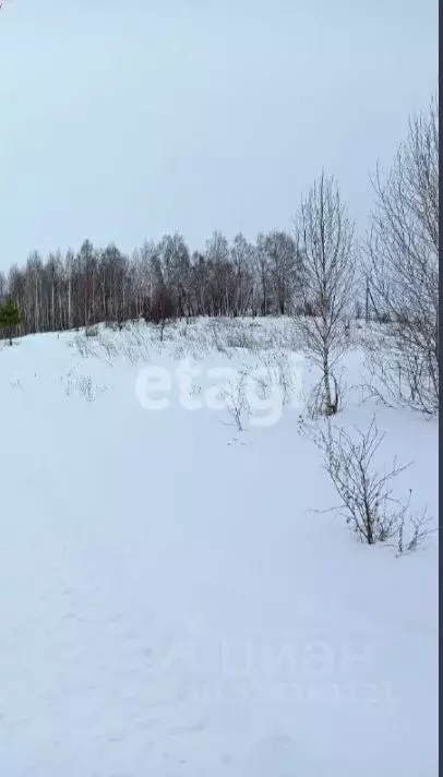 Участок в Алтай, Майминский район, пос. Алферово  (100.1 сот.) - Фото 1