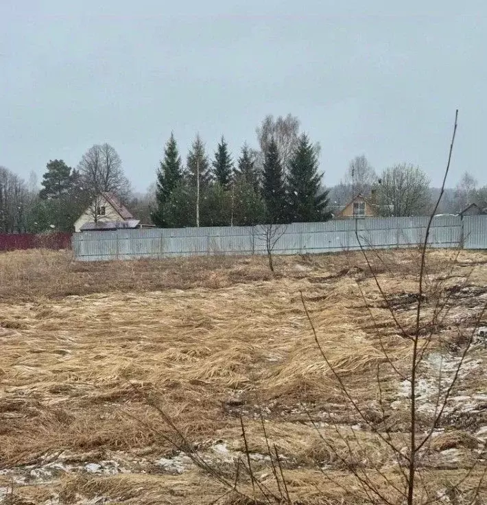 Участок в Московская область, Можайский муниципальный округ, д. ... - Фото 1