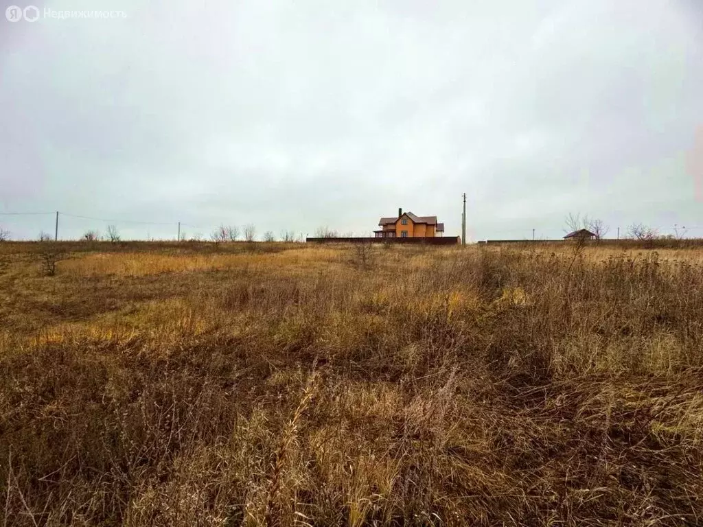 Участок в Пензенский район, Богословский сельсовет, село Малая ... - Фото 1