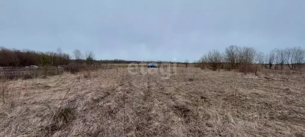 Участок в Архангельская область, Котласский муниципальный округ, д. ... - Фото 1