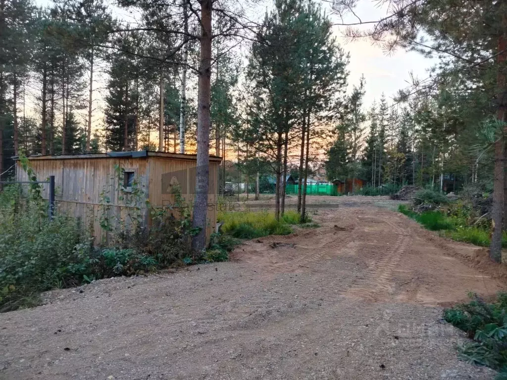 Участок в Новгородская область, Новгородский район, Савинское с/пос, ... - Фото 0