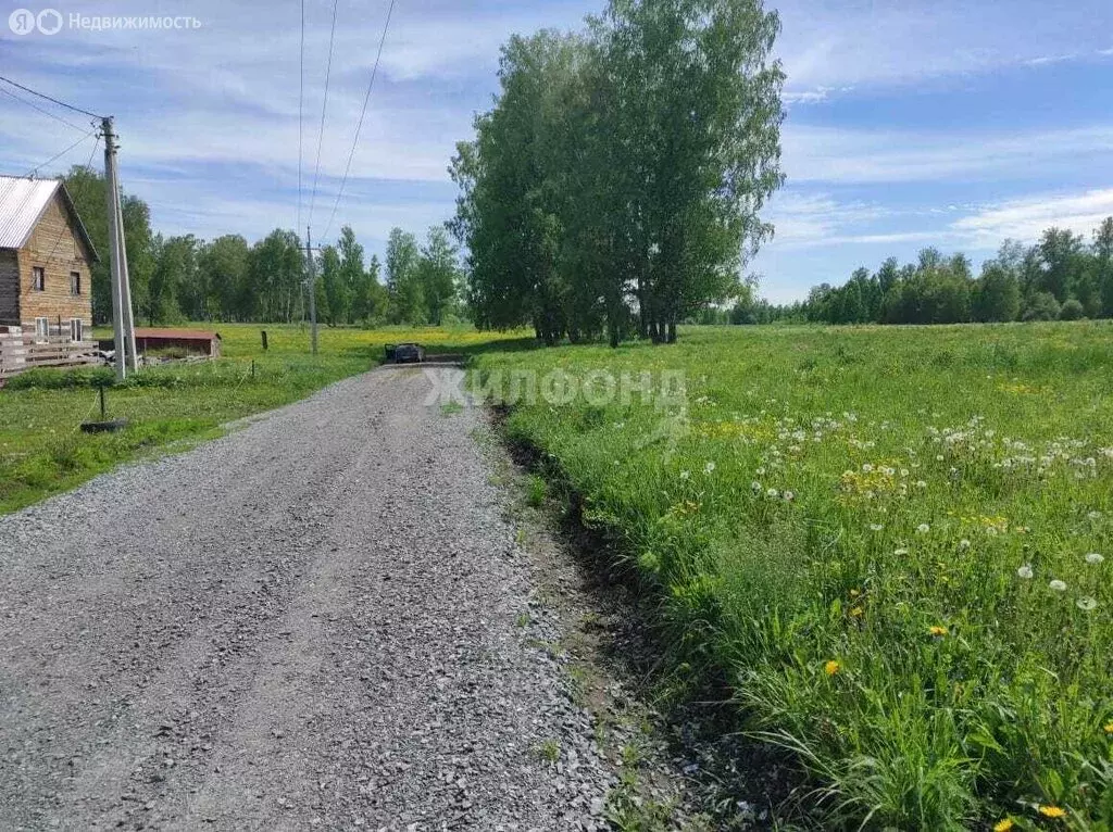 Участок в Новосибирский район, Берёзовский сельсовет, село Быково, ... - Фото 0