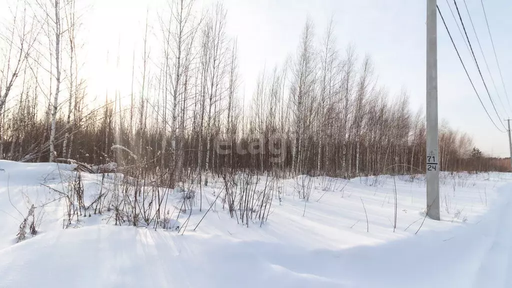 Участок в Томск, переулок Заботы (10.7 м) - Фото 1