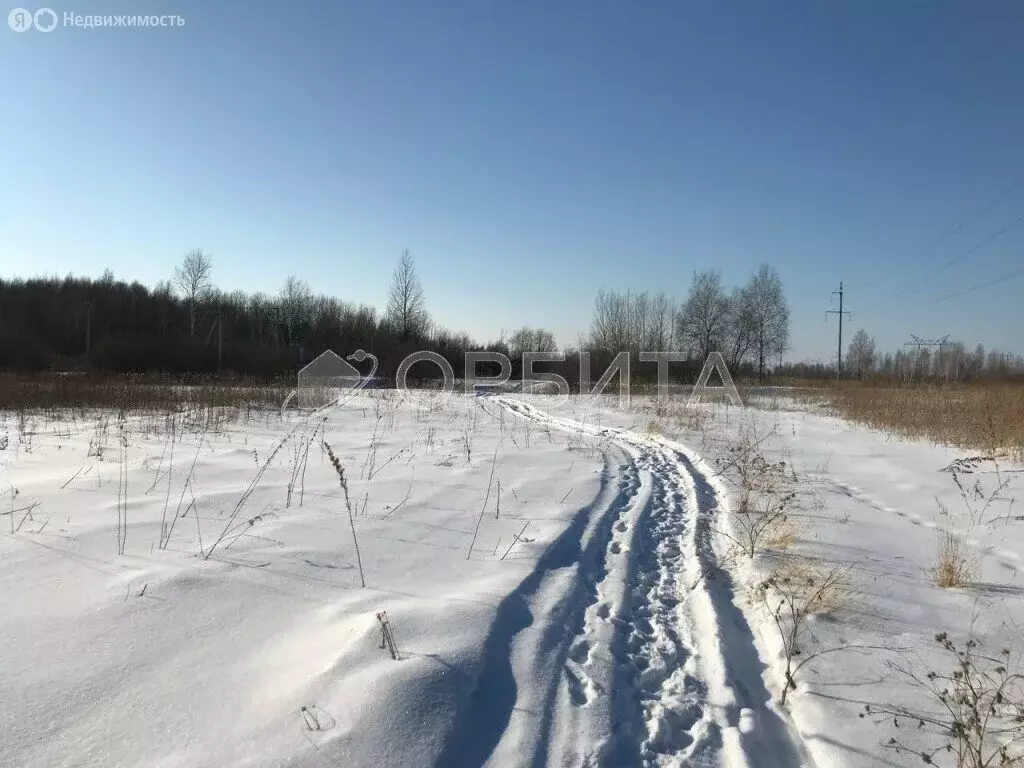 Участок в Тюменский район, село Борки (18 м) - Фото 0