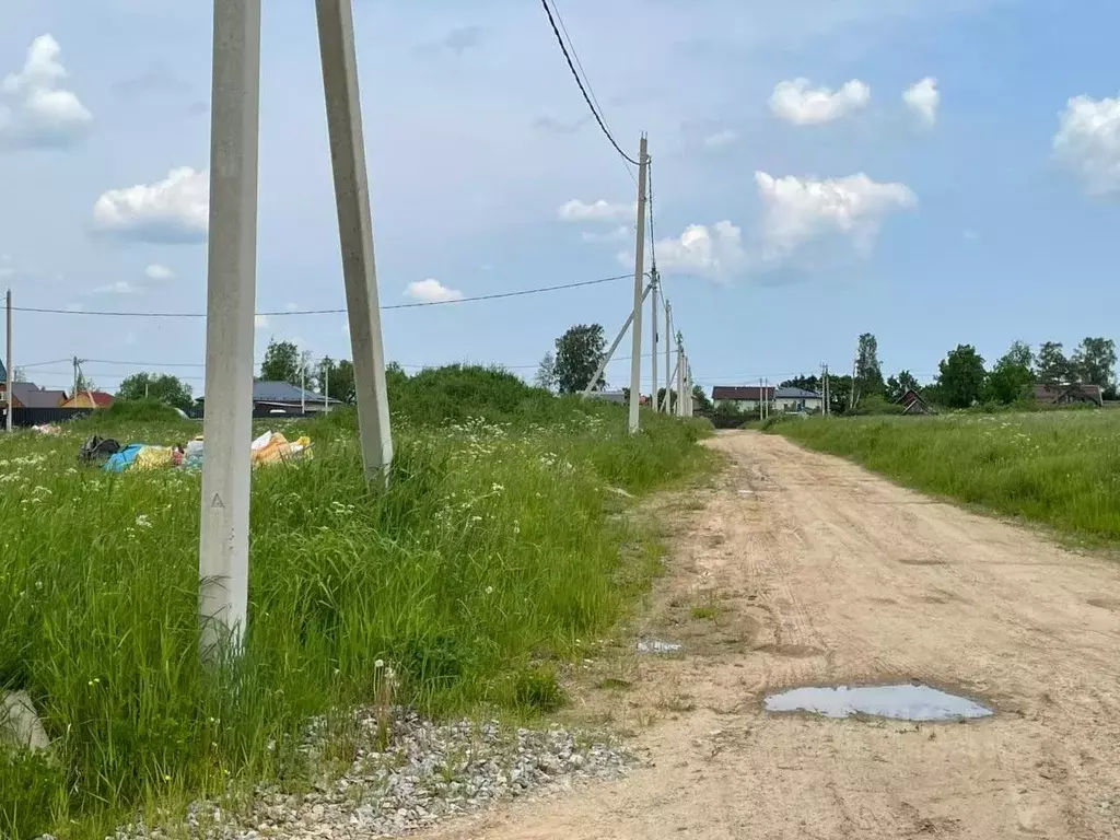 Участок в Ленинградская область, Всеволожский район, Рахьинское ... - Фото 1