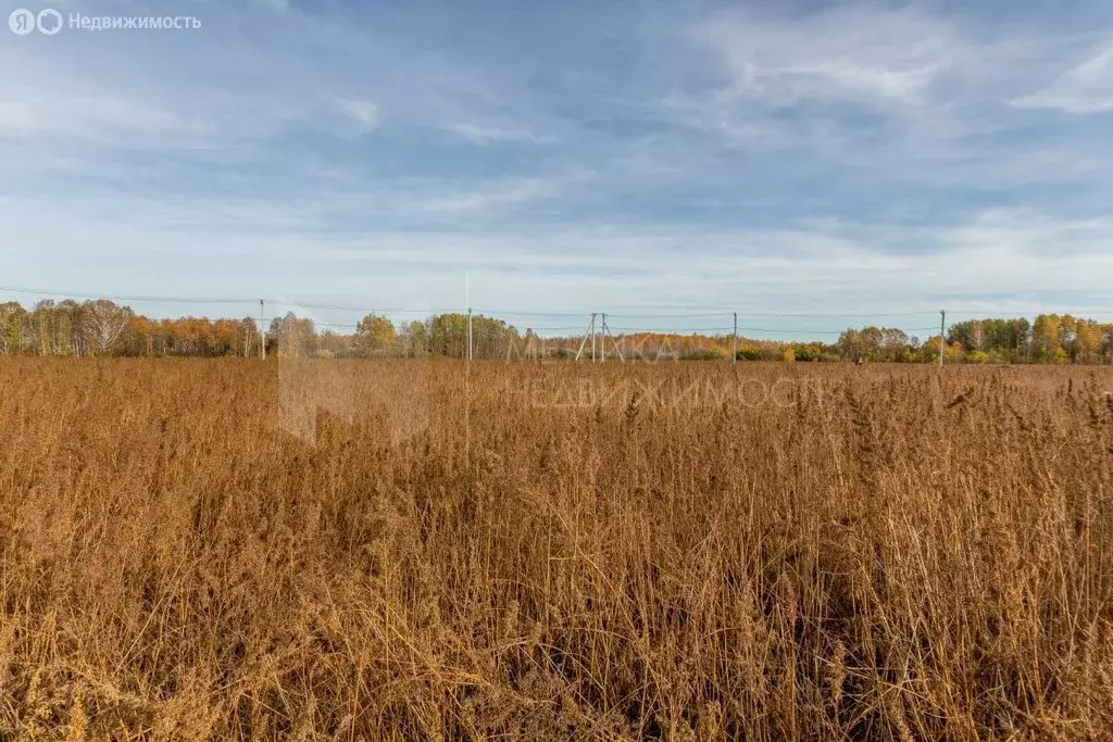 Участок в село Червишево, Молодёжная улица (8.5 м) - Фото 1