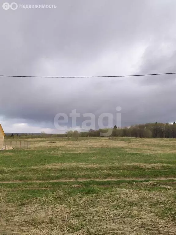 Участок в Дмитровский городской округ, деревня Новое Сельцо (9 м) - Фото 1