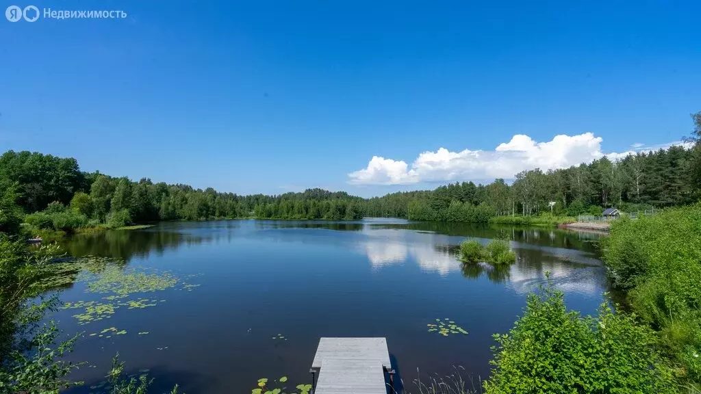 Участок в деревня Старая Пустошь, улица Дягилева, 35 (68.2 м) - Фото 1