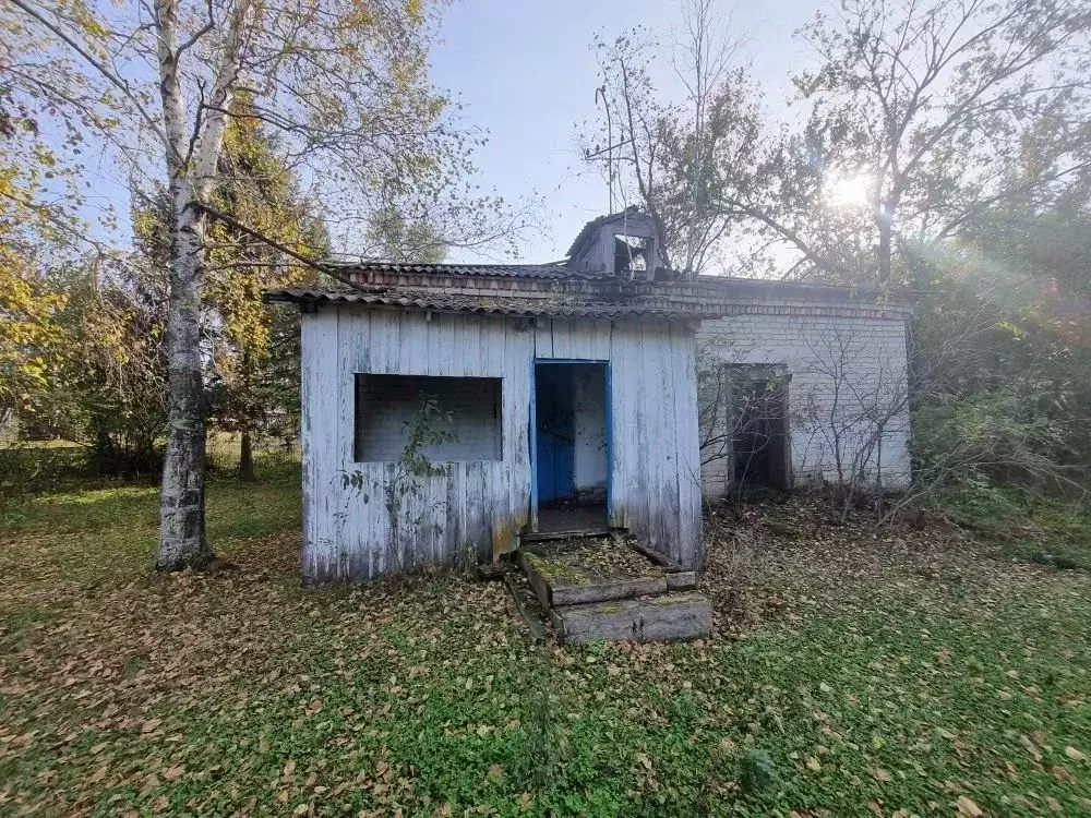 Помещение свободного назначения в Амурская область, Архаринский ... - Фото 2