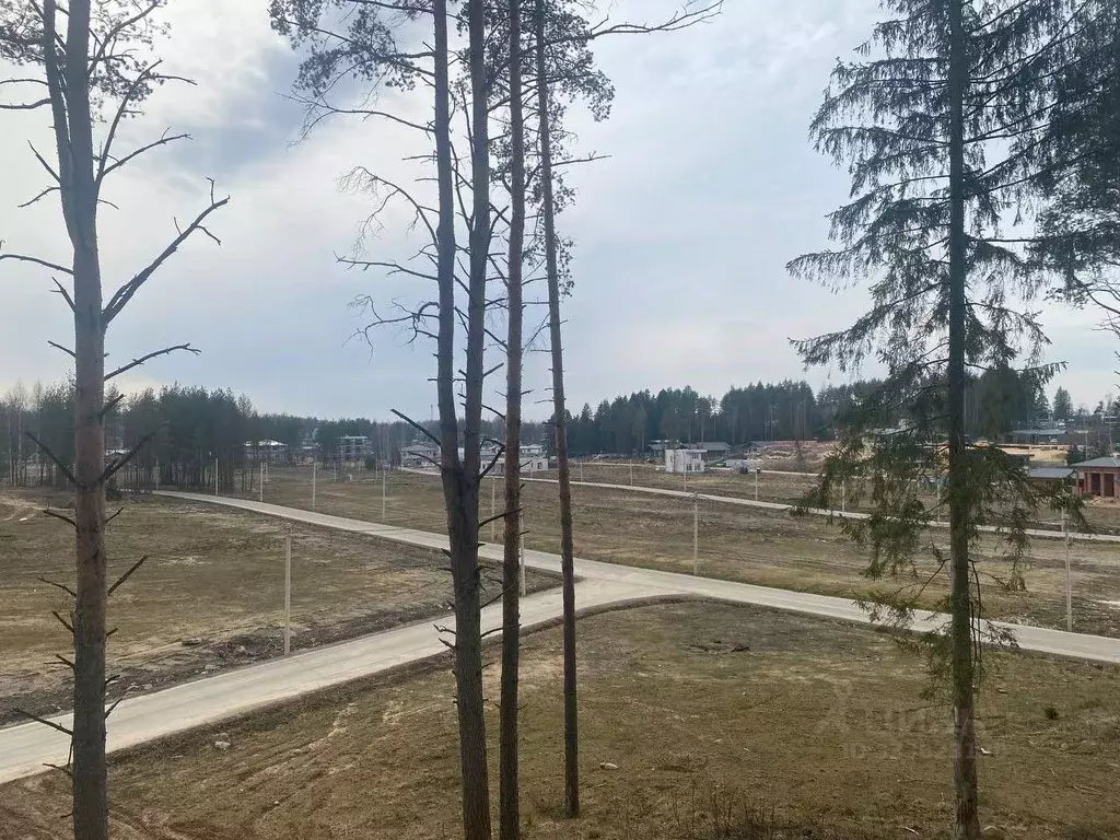 Участок в Ленинградская область, Всеволожский район, Бугровское ... - Фото 2