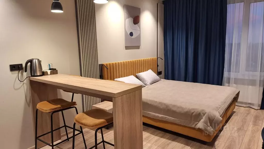 Студия Санкт-Петербург просп. Энергетиков, 8к2 (27.1 м) - Фото 1