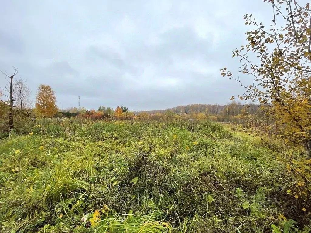 Участок в Московская область, Мытищи городской округ, д. Драчево ул. ... - Фото 0