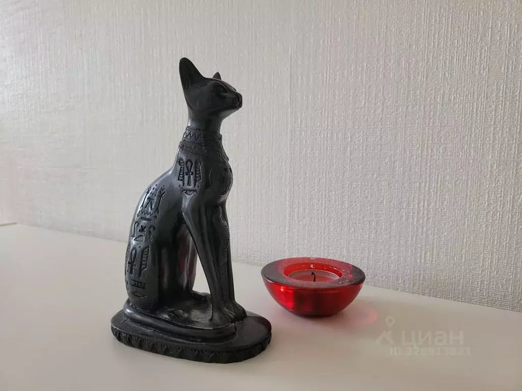 1-к кв. Санкт-Петербург Биржевая линия, 1/1Ж (41.3 м) - Фото 0