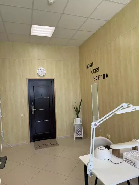 Офис в Белгородская область, Белгород ул. Пирогова, 45 (20 м) - Фото 2
