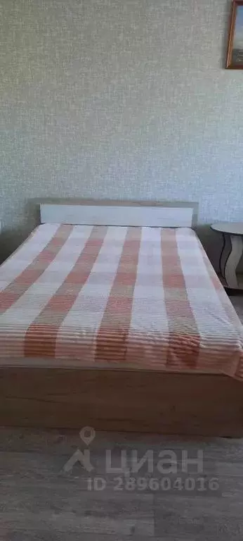 1-к кв. Алтайский край, Барнаул ул. Попова, 127 (32.0 м) - Фото 2