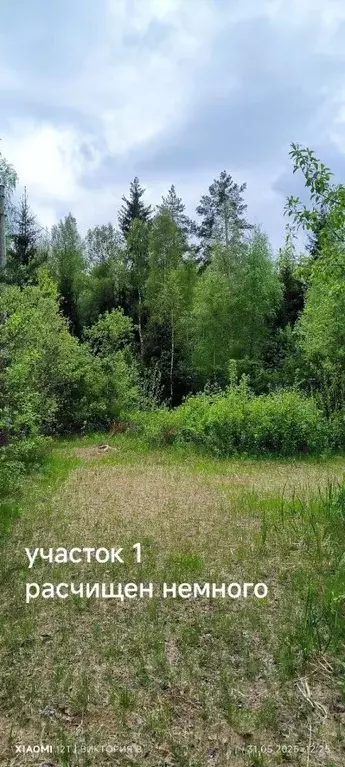 Участок в Ленинградская область, Выборгский район, Полянское с/пос, ... - Фото 1