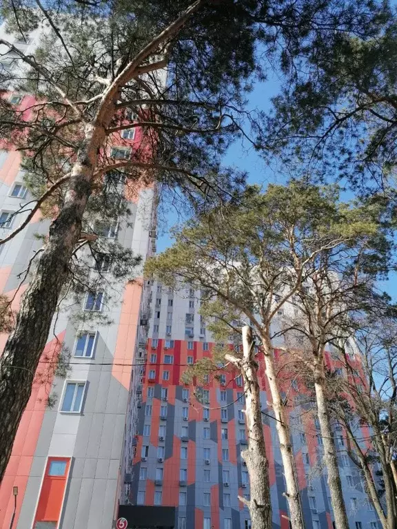 Студия Московская область, Одинцовский городской округ, Новоивановское ... - Фото 1