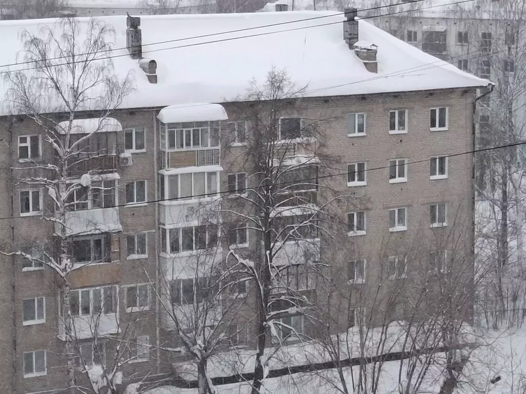 1-к кв. Пермский край, Пермь ул. Маршала Рыбалко, 109А (32.0 м) - Фото 1