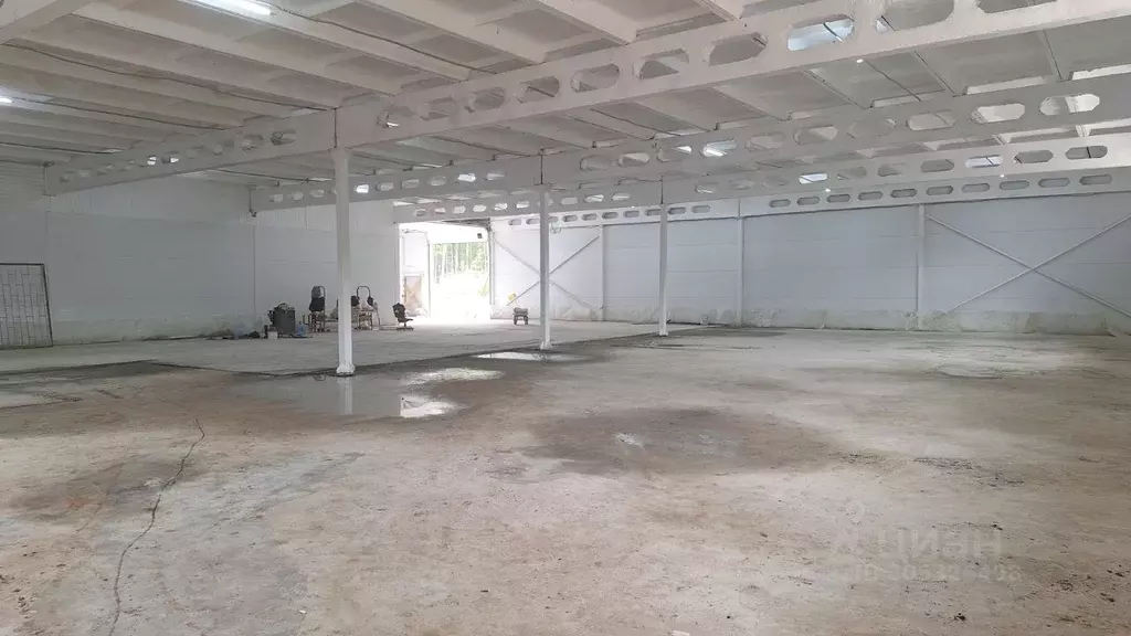 Торговая площадь в Пермский край, Пермь Соликамская ул., 329Б (986 м) - Фото 2