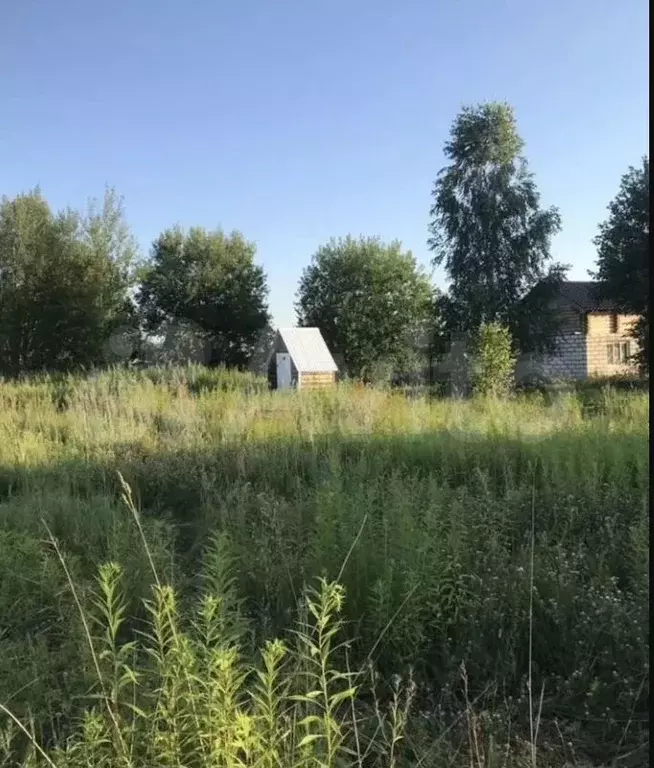 Участок 10 сот. (СНТ, ДНП) - Фото 0