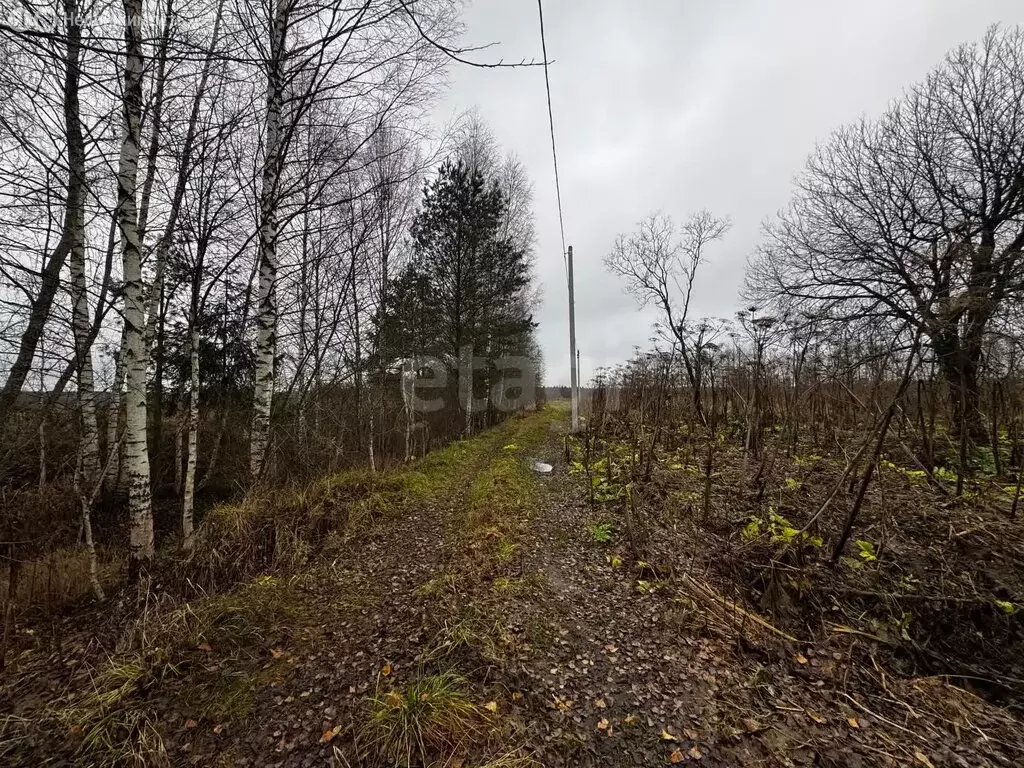 Участок в Тверская область, Калининский муниципальный округ, село ... - Фото 2