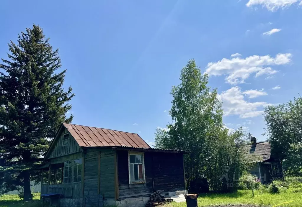 Дом в Новосибирская область, Новосибирск Луч садовое товарищество, ул. ... - Фото 1