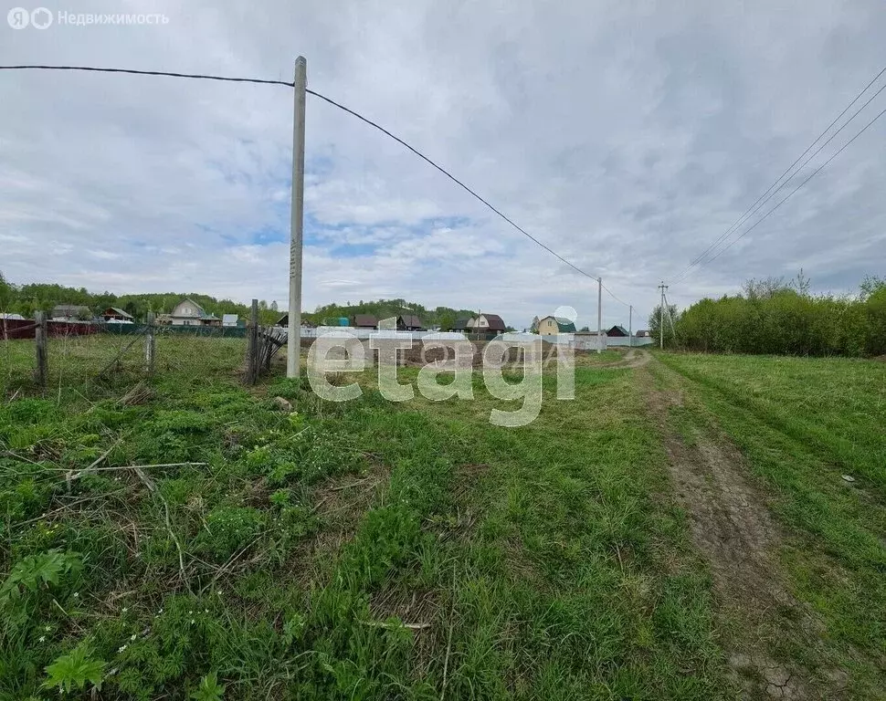 Участок в Новокузнецк, СНТ Рябинка (4.4 м) - Фото 0