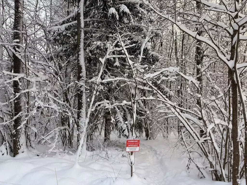 Участок в Московская область, Волоколамский муниципальный округ, ... - Фото 2