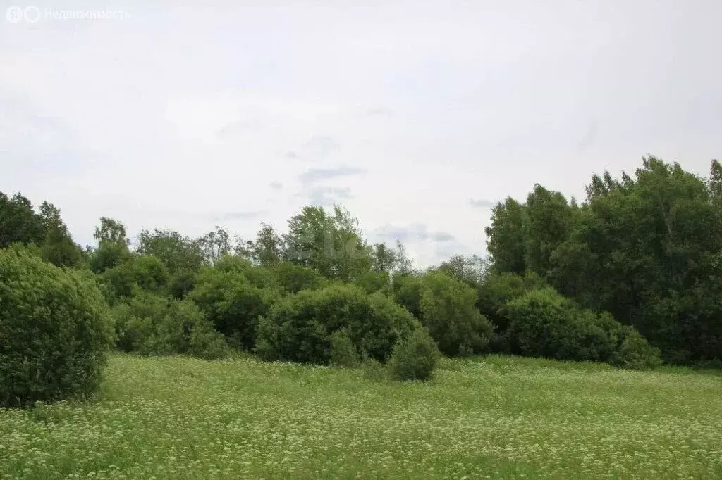 Участок в Выборгский район, Каменногорское городское поселение, ... - Фото 1