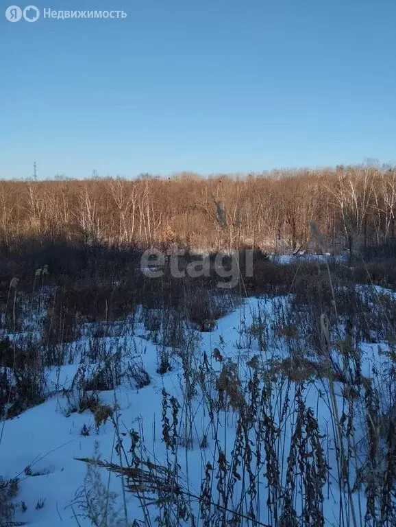Участок в Арсеньев, садоводческое товарищество Пионер (10 м) - Фото 0