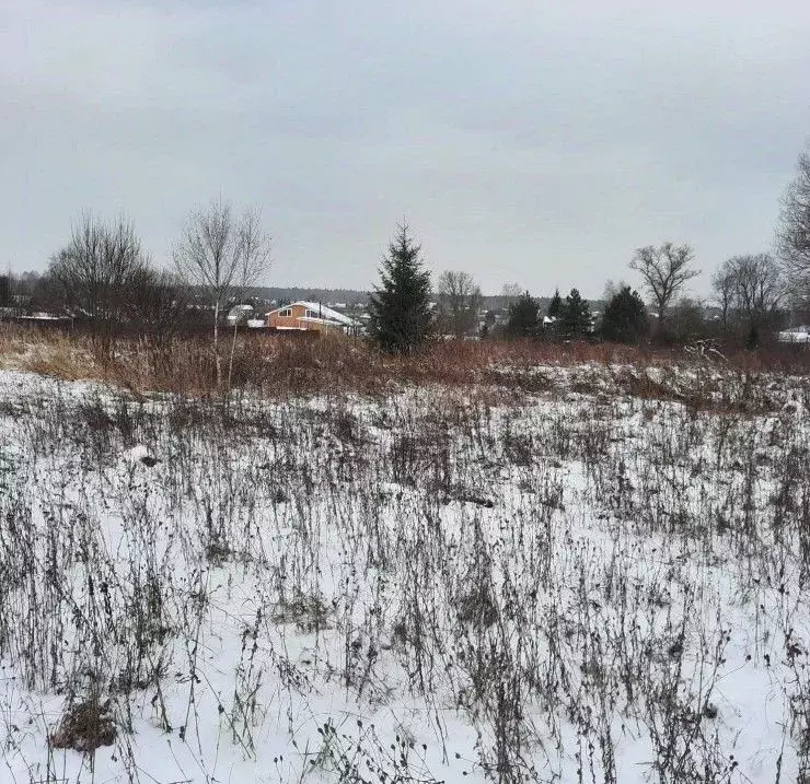 Участок в Московская область, Ступино городской округ, д. Съяново ул. ... - Фото 0