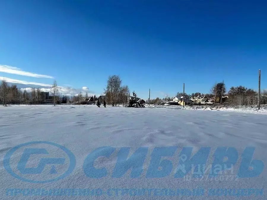 Участок в Новосибирская область, Новосибирский район, Морской ... - Фото 2