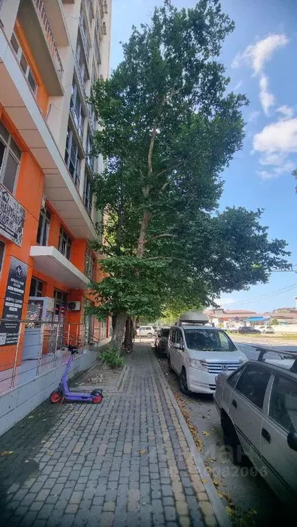 Помещение свободного назначения в Краснодарский край, Анапа ул. ... - Фото 0