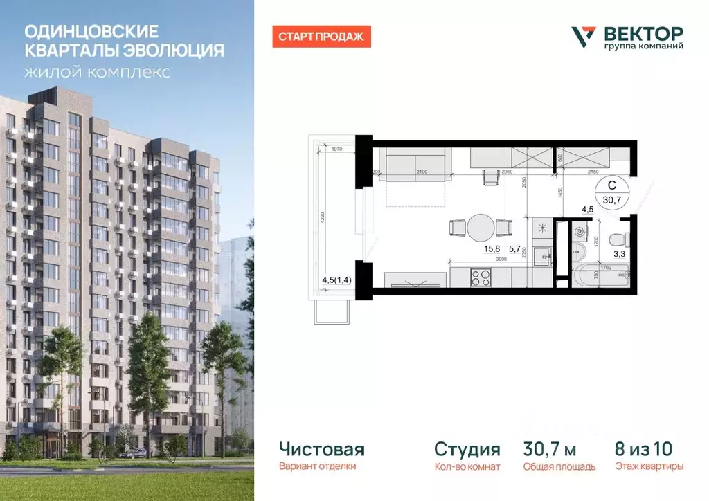 Студия Московская область, Одинцовский городской округ, д. Солманово, ... - Фото 1