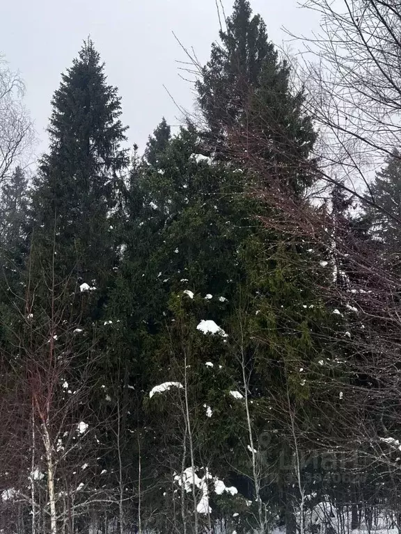 Участок в Московская область, Солнечногорск городской округ, д. ... - Фото 0