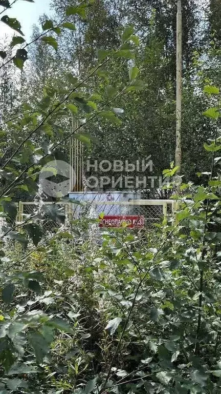Участок 14,5 сот. (СНТ, ДНП) - Фото 0