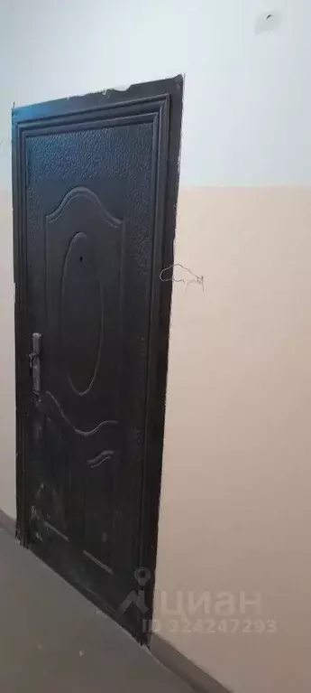 Свободной планировки кв. Новосибирская область, Новосибирск ул. ... - Фото 2