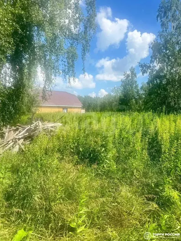 Участок 12 сот. (ИЖС) - Фото 1