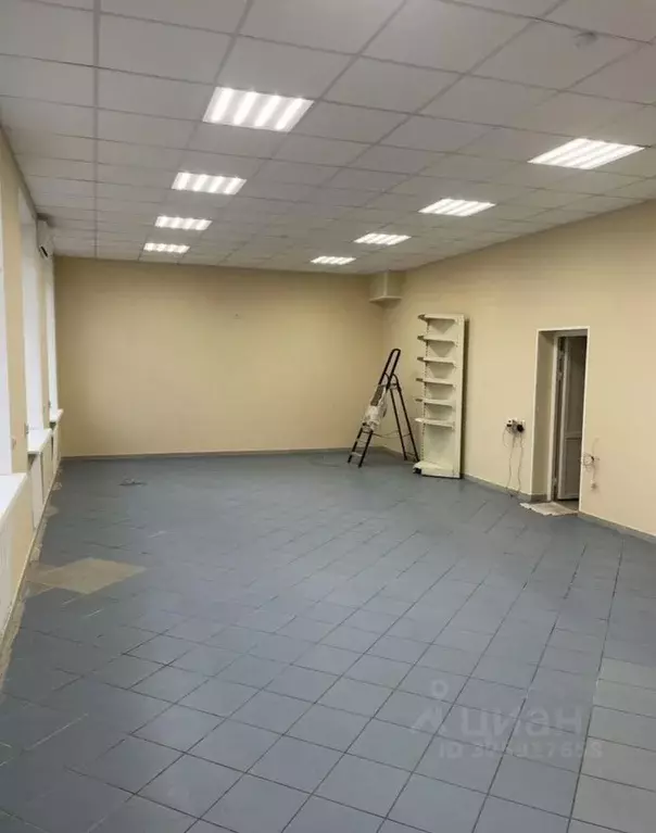 Помещение свободного назначения в Брянская область, Брянск ул. ... - Фото 2