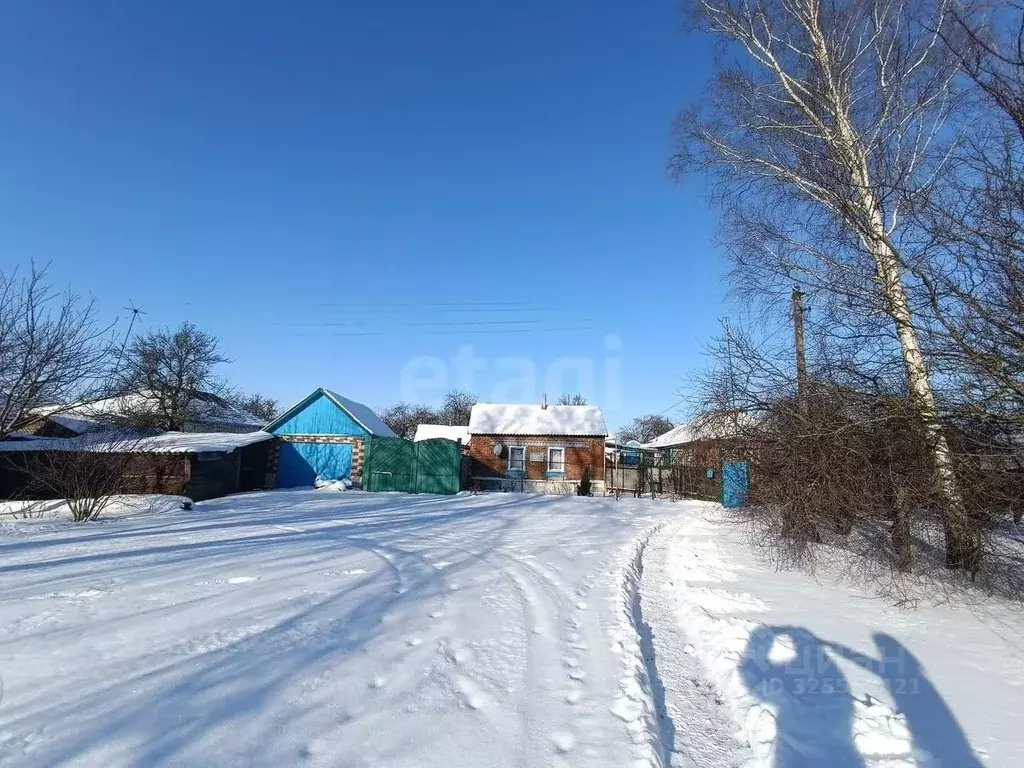 Дом в Курская область, Пристенский район, Среднеольшанский сельсовет, ... - Фото 2