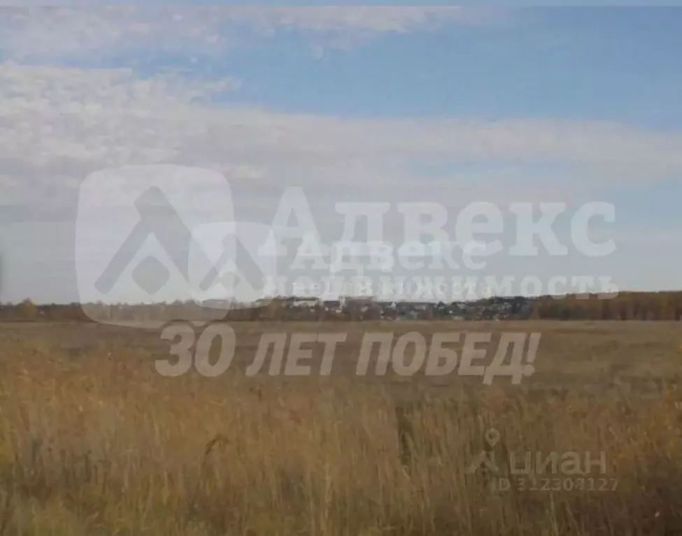 Участок в Курганская область, Курган Тополя мкр, Весенняя ул. (54.0 ... - Фото 2