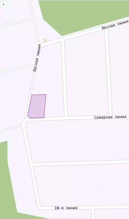 Участок в Ленинградская область, Ломоносовский район, Гостилицкое ... - Фото 2