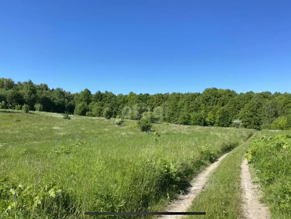 Участок в Калининградская область, Янтарный городской округ, пос. ... - Фото 0