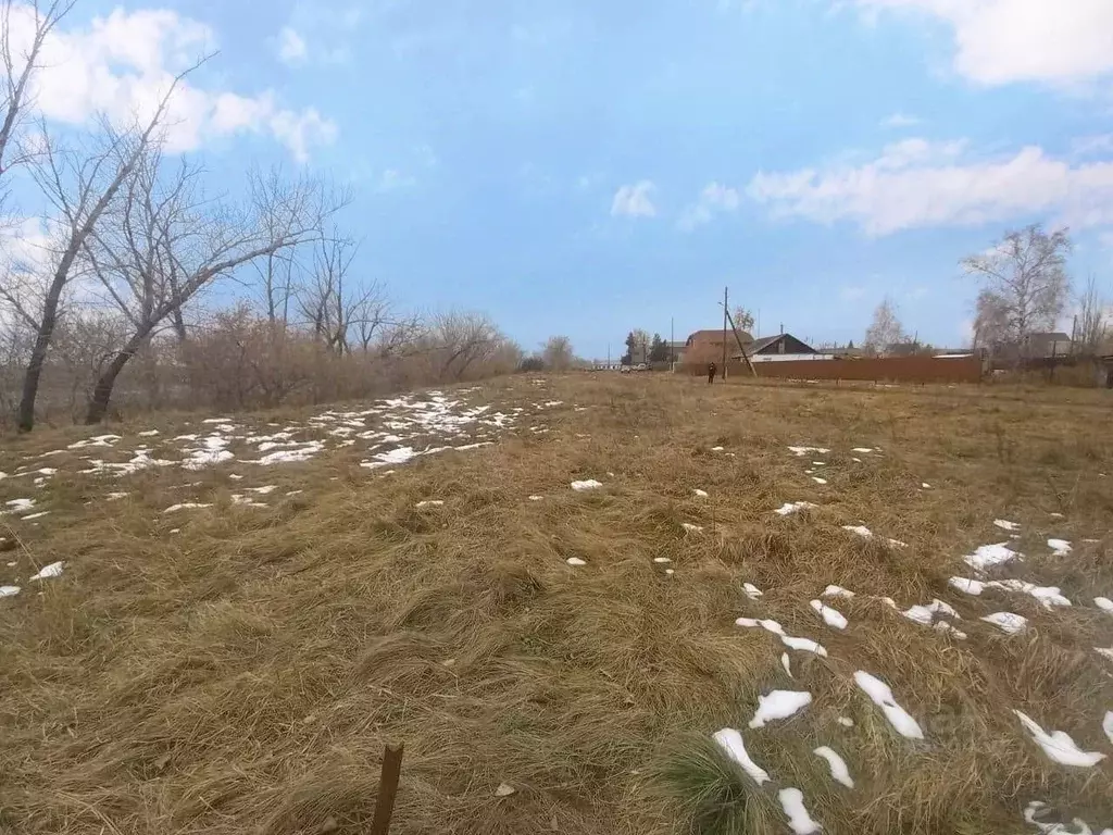 Участок в Омская область, Омский район муниципальный округ, с. Ачаир ... - Фото 2