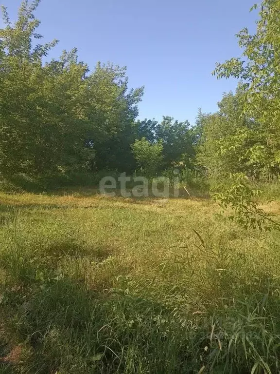 Участок в Нижегородская область, Кстовский муниципальный округ, д. ... - Фото 0