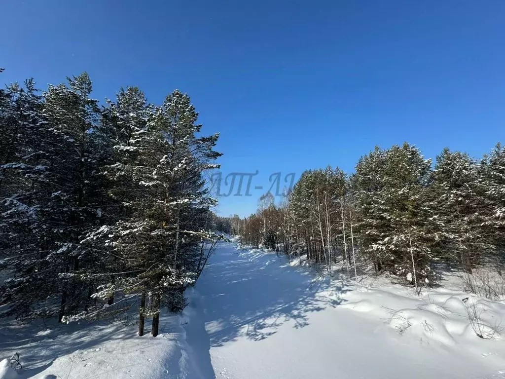 Участок в Алтай, Турочакский район, с. Дмитриевка  (150.0 сот.) - Фото 0